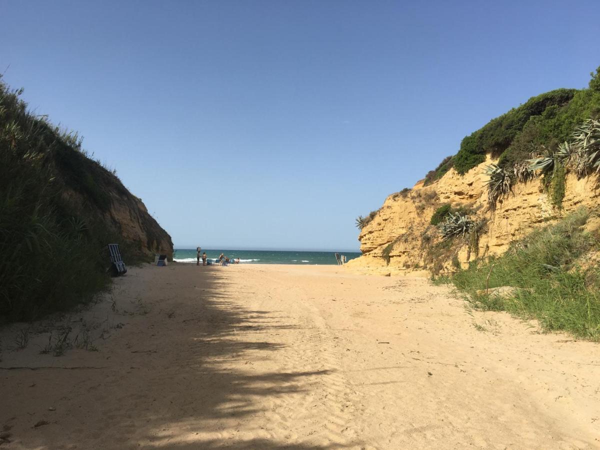 Villa Anyway Conil Un Lujo Frente Al Mar 콘일데라프론테라 외부 사진