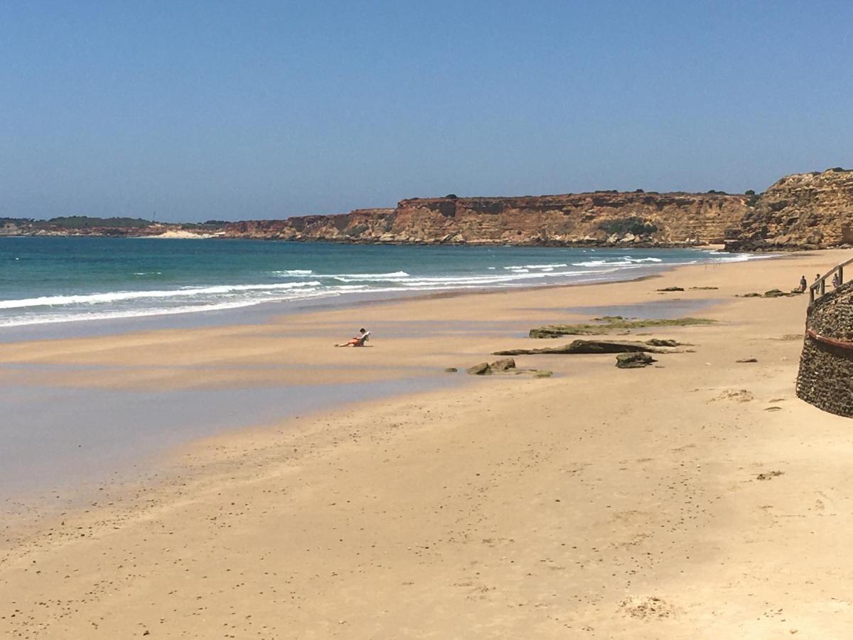 Villa Anyway Conil Un Lujo Frente Al Mar 콘일데라프론테라 외부 사진
