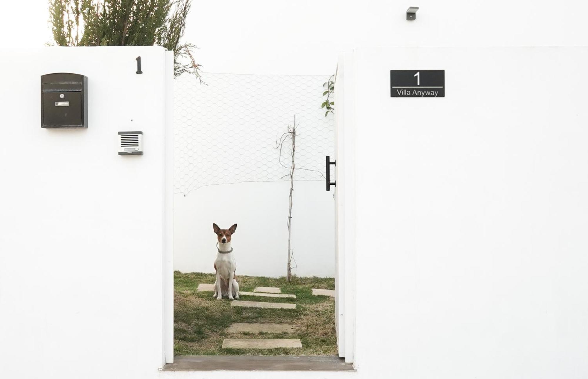 Villa Anyway Conil Un Lujo Frente Al Mar 콘일데라프론테라 외부 사진
