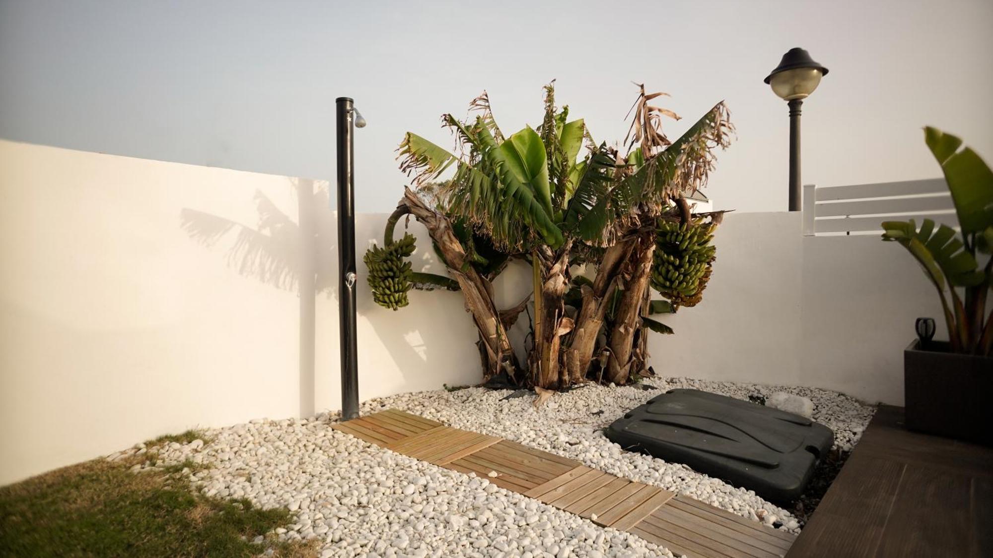 Villa Anyway Conil Un Lujo Frente Al Mar 콘일데라프론테라 외부 사진